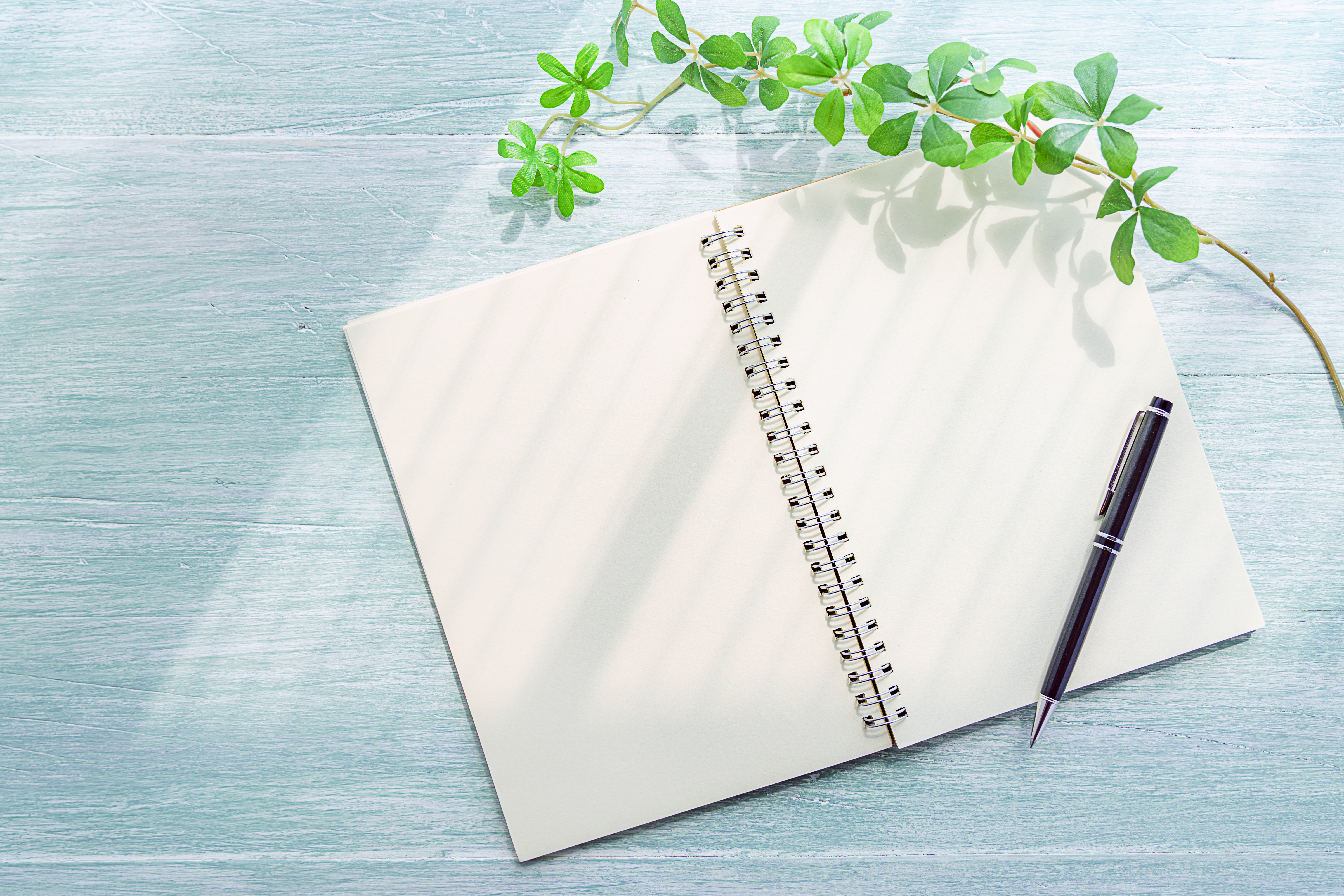 Hikaruのブログヒーロー画像